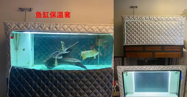 合肥鱼缸加热棒