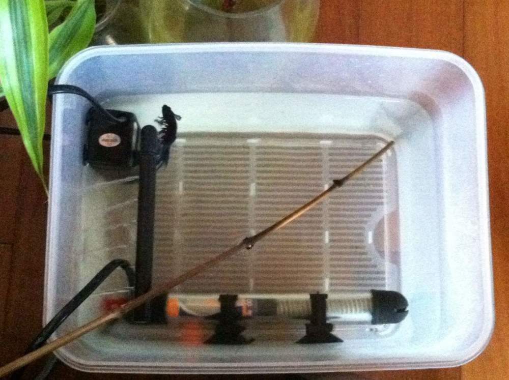 合肥鱼缸加热棒