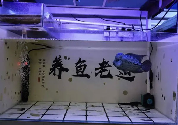 合肥鱼缸