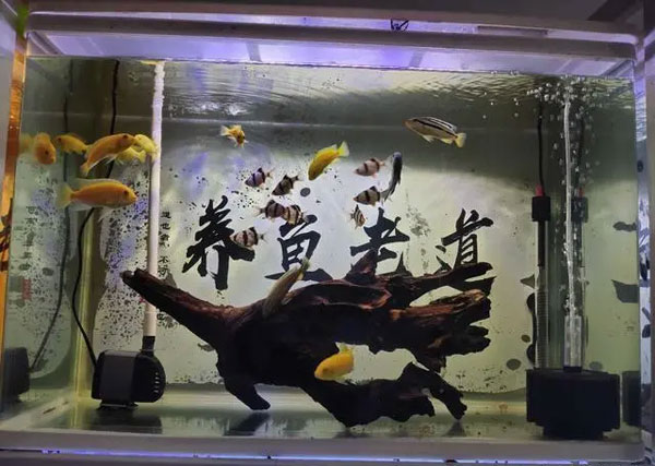 合肥鱼缸